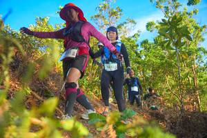 BIB: 2442
                            <button type="button" onclick="openModal(21842069)" class="btn btn-primary btn-sm float-right btn-popup" data-toggle="modal" data-target=".modal-high-quality">
                        <i class="fas fa-shopping-cart"></i> Add to Cart
                    </button>
                                            <button type="button" onclick="isThisMe(21842069, true)" class="btn btn-success btn-sm float-right btn-popup btn-isme hidden" data-toggle="tooltip" data-placement="bottom" title="นี่คือรูปของคุณใช่ไหม คลิกที่นี่เพื่อเอาเข้าอัลบั้ม">
                        <i class="fas fa-plus"></i> Add to album
                    </button>
                    <button type="button" onclick="isThisMe(21842069, false)" class="btn btn-warning btn-sm float-right btn-popup btn-isnotme hidden">
                        <i class="fas fa-ban"></i> Remove from album
                    </button>